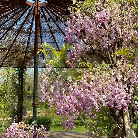 Hotel Mas Generos - Adults-only Eco Fonteta
